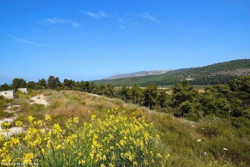 נוף הרי הגליל המערבי הנשקף מוילת אחוזת ליבי במושב יערה